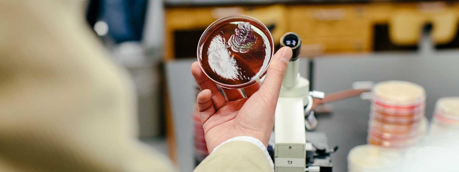 View of professor's arm holding out specimen in round enclosure in biology lab