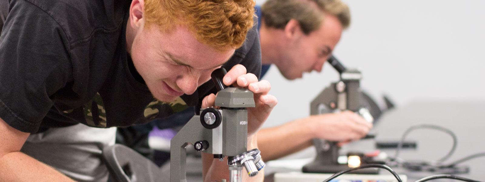 students looking through microscopes